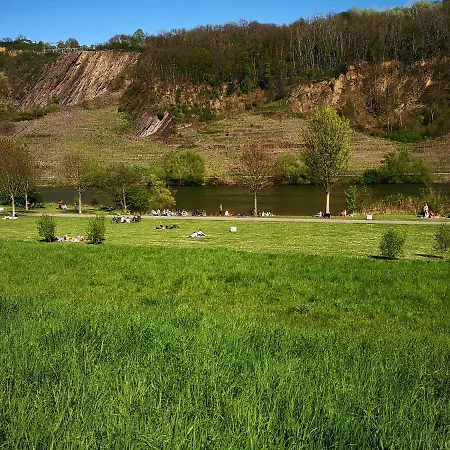 Malefi 1 Am Guelser Moselbogen Chalet