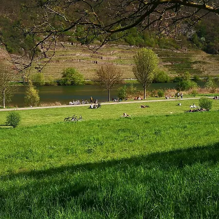 Chalet Malefi 1 Am Guelser Moselbogen Coblence