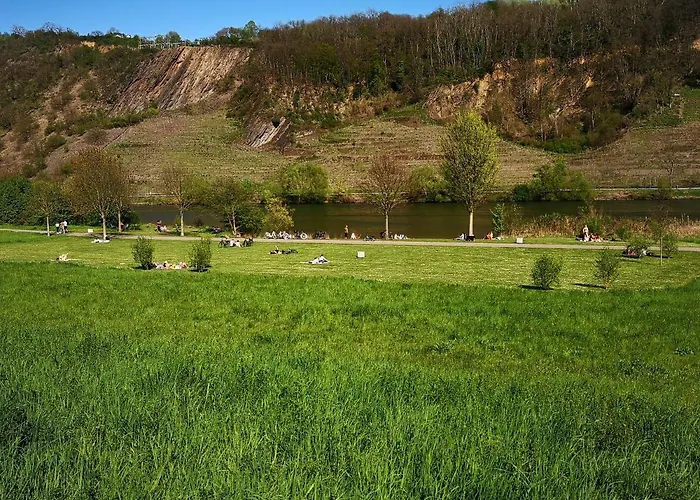 Malefi 1 Am Guelser Moselbogen Chalet