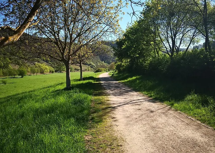 Chalet Malefi 1 Am Guelser Moselbogen Coblence